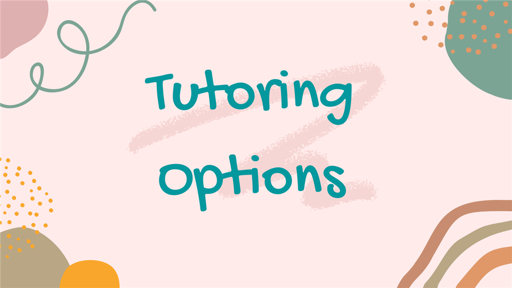 tutoring options tutoring options